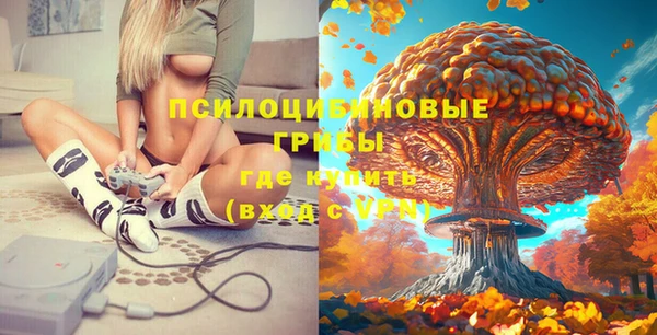 гашишное масло Богородицк