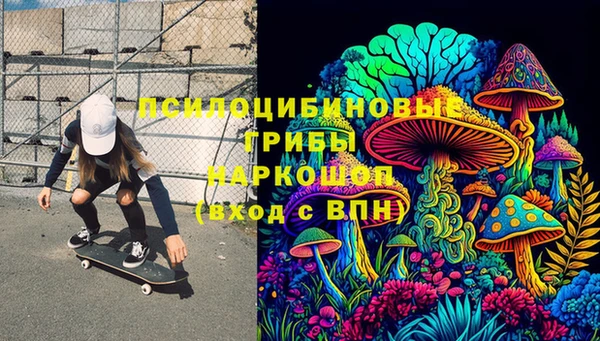 винт Богданович