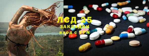 винт Богданович
