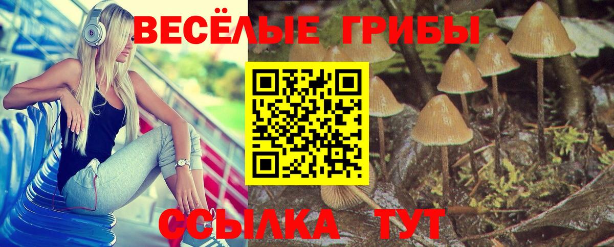 Сердобск  Галлюциногенные грибы Psilocybe  Вход с VPN 